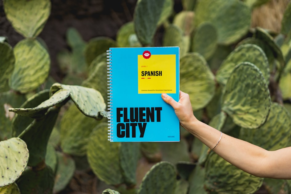 Effective Language Learning Techniques
